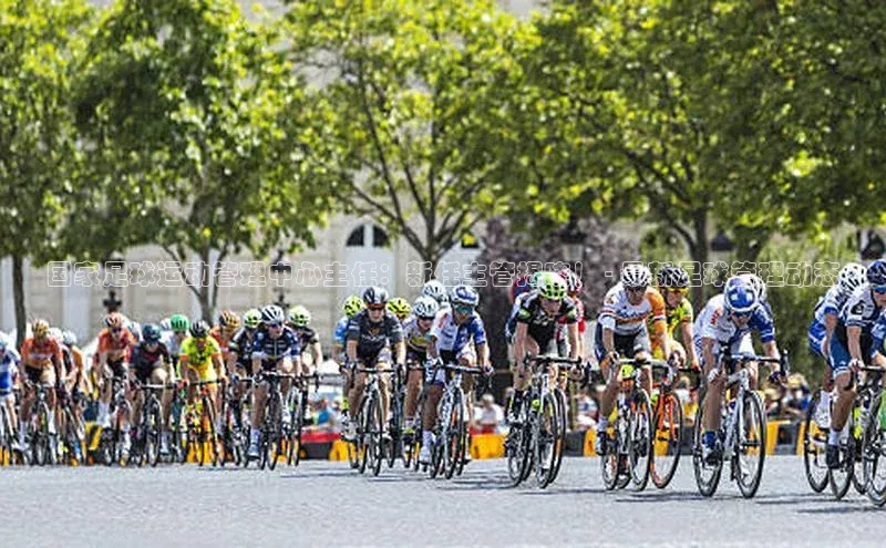 333体育百度健康国家足球运动管理中心主任：新任主管揭晓！ - 最新足球管理动态