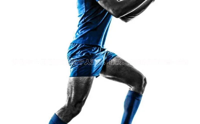 333体育官网登录入口如流苏茂贞: 中国足球运动员个人资料，球队，比赛记录及荣誉 - 综述