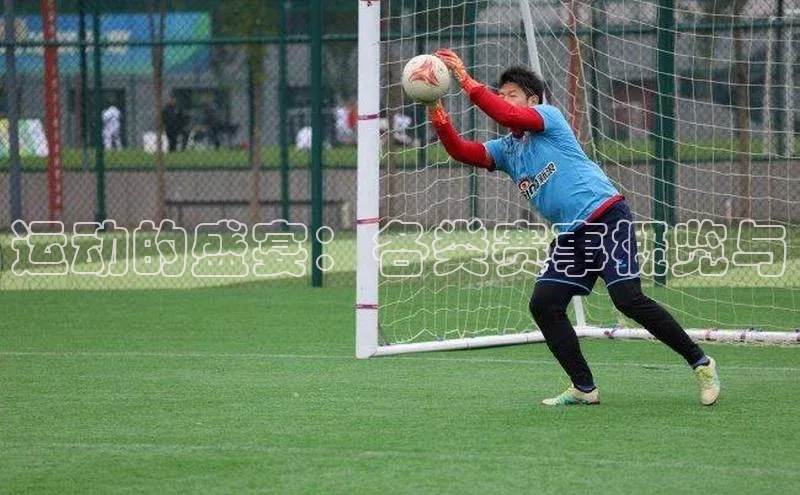 333体育官网入口云创智行运动的盛宴：各类赛事概览与