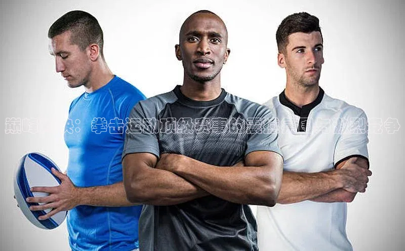 333体育app最新版本更新内容百度翻译App巅峰对决：拳击运动顶级赛事的震撼氛围与激烈竞争