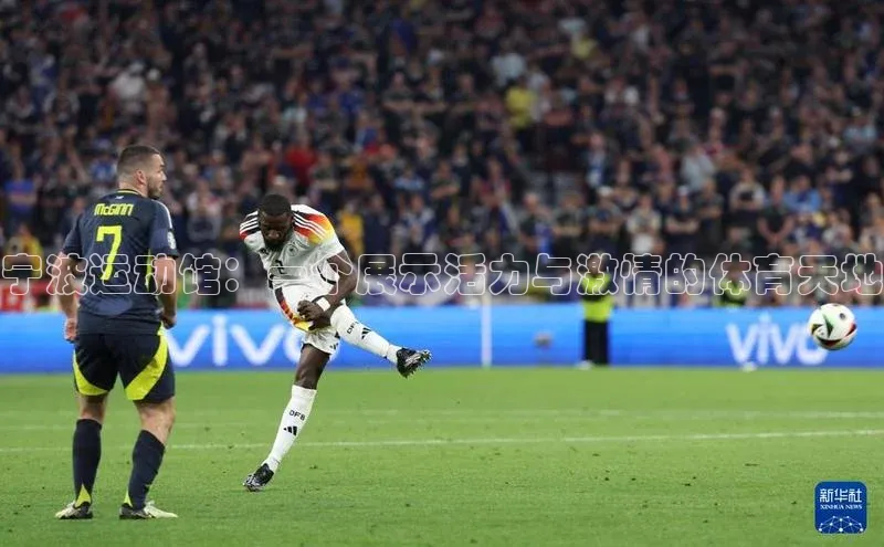 333体育手机版百度信誉宁波运动馆：一个展示活力与激情的体育天地