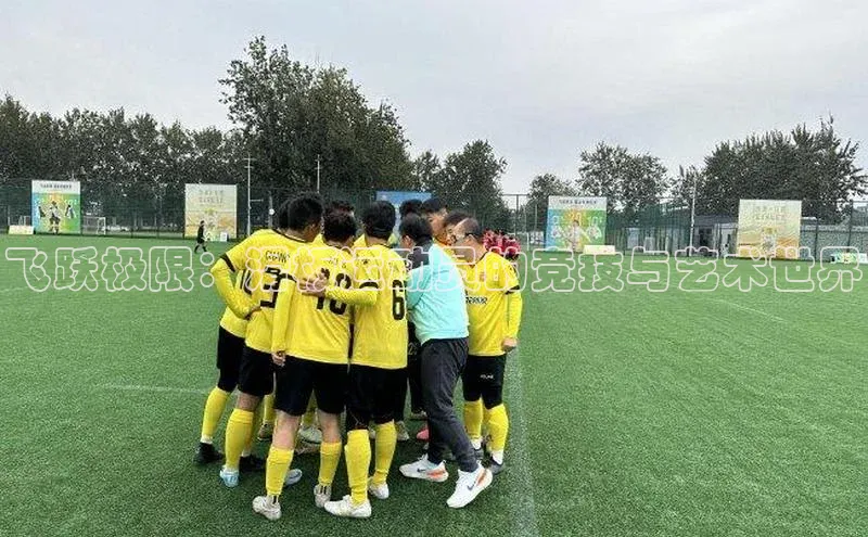 飞跃极限：滑板运动员的竞技与艺术世界