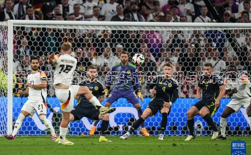 粽香千里赛龙舟：端午节的庆祝与体育盛会