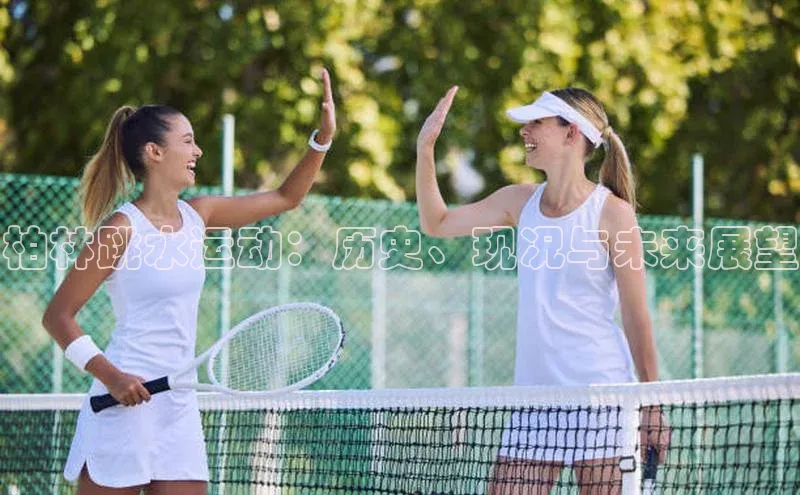 柏林跳水运动：历史、现况与未来展望