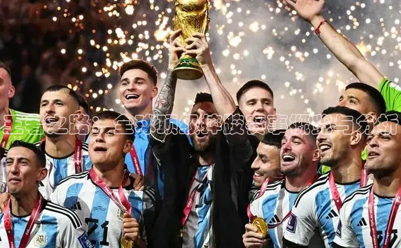 王者之路：全球顶级摔跤赛事概览与分析