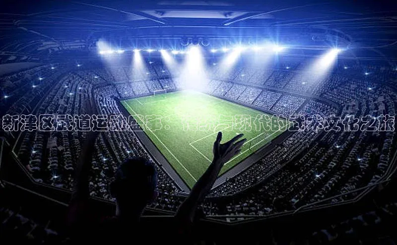 新津区武道运动盛事：传统与现代的武术文化之旅