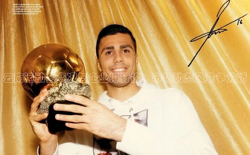 云南运动会赛况与企业排行榜：市场动态及竞争分析