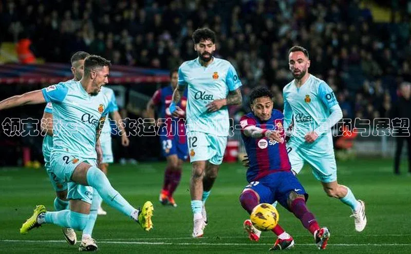 领克汽车：未来运动的极限——赛事回顾与展望