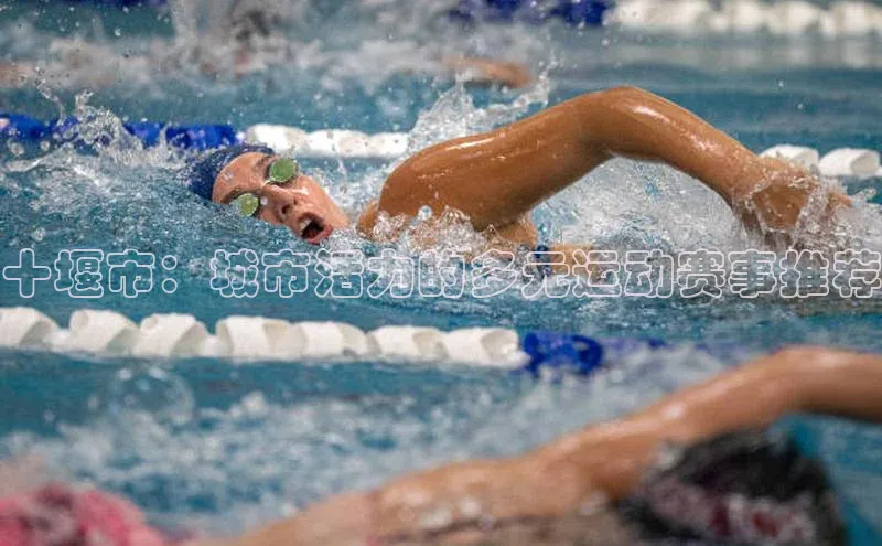 十堰市：城市活力的多元运动赛事推荐