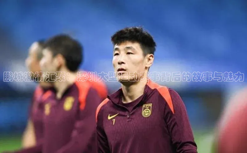 鹏城激情汇聚：深圳大型运动赛事背后的故事与魅力