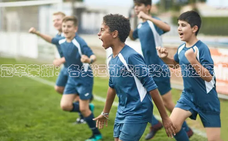 冠军荣耀：各类运动赛事奖杯精选展示