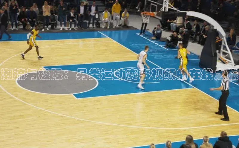 潮流与极限：另类运动赛事视频的在线之旅