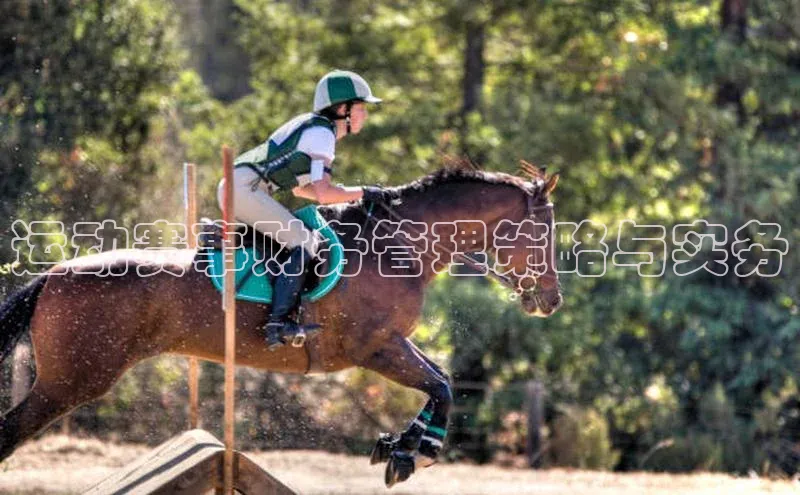 运动赛事财务管理策略与实务