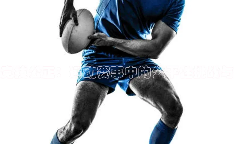 竞技公正：运动赛事中的公平性挑战与