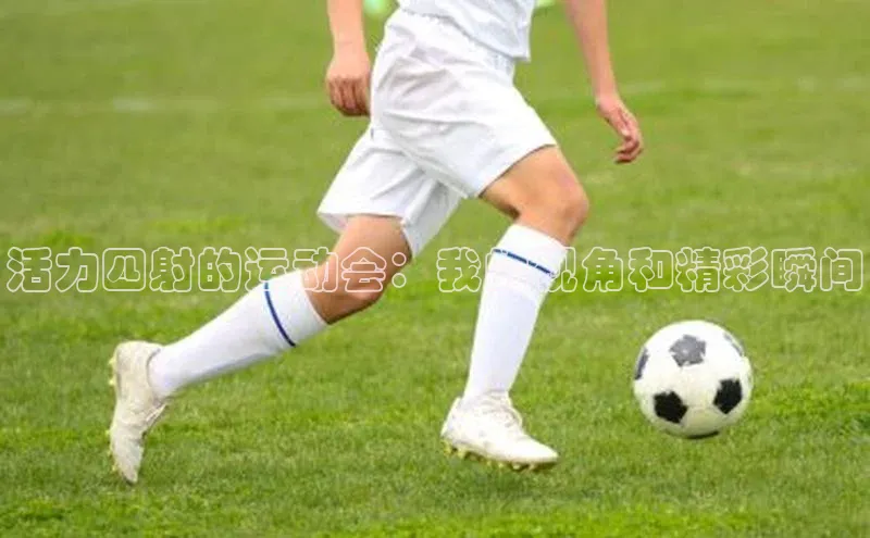 活力四射的运动会：我的视角和精彩瞬间