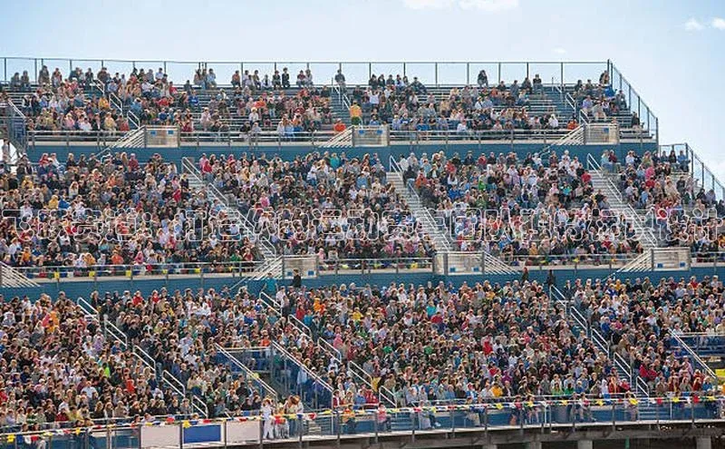 飞跃赛道：打造你的运动赛事团队独特标识设计