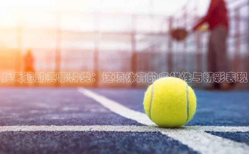 乒乓运动赛事种类：这项体育的多样性与精彩表现