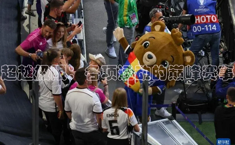 超越极限：各项运动的巅峰赛事