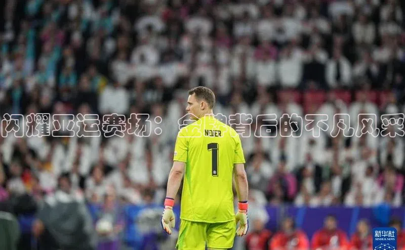 333体育平台app台登录