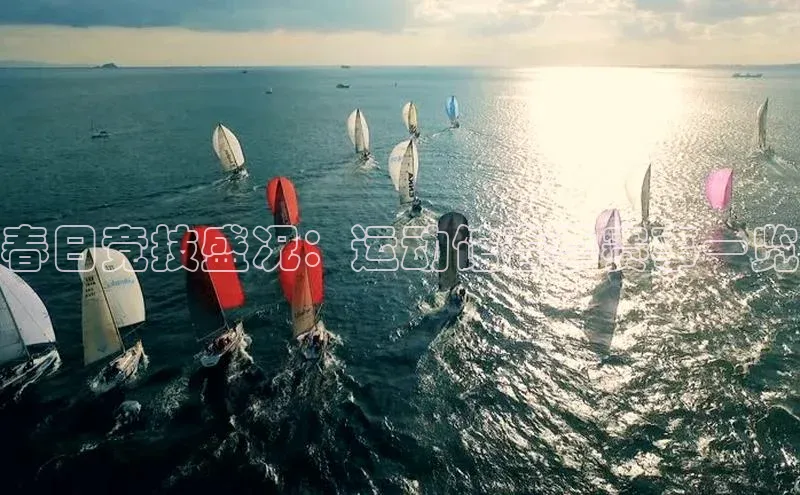 333体育官网app下载