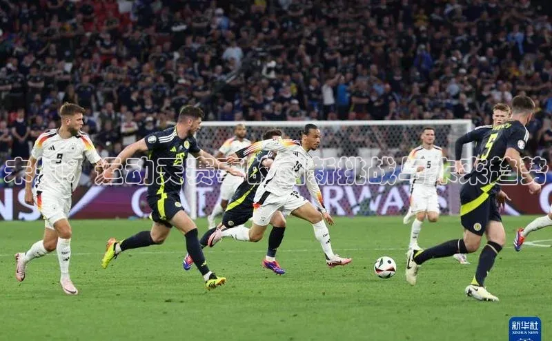 333体育手机版入口