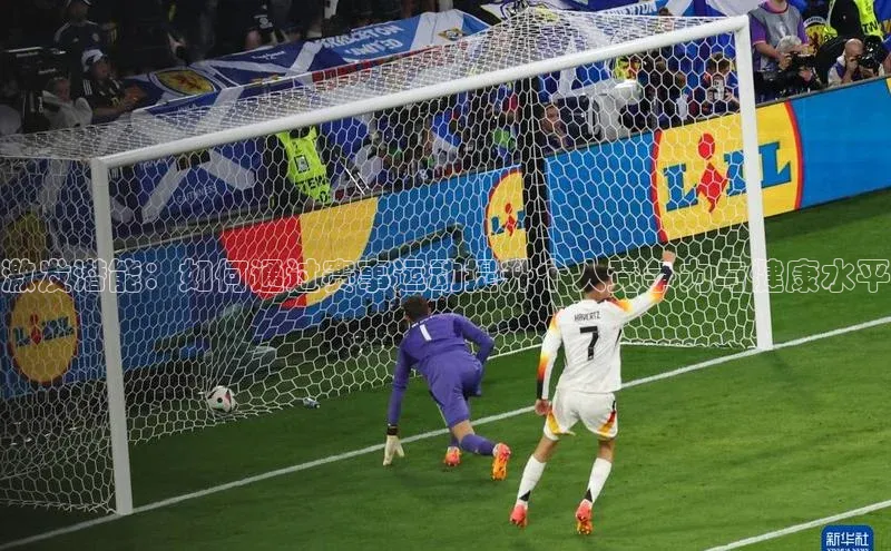 333体育手机版入口