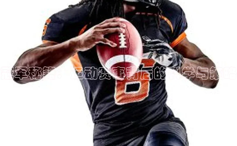 333体育官方网址