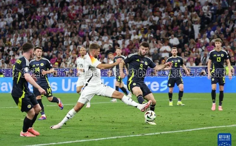 333体育手机版入口