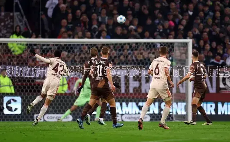 333体育官网入口