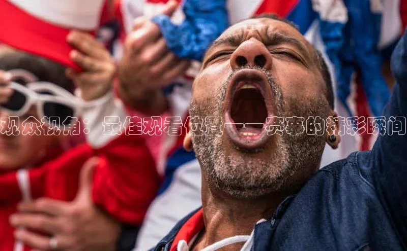 333体育app官方最新版本功能介绍