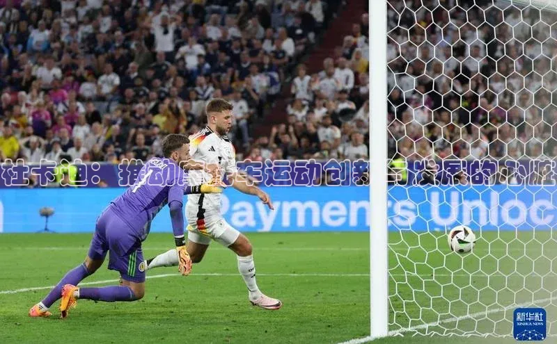 333体育平台App下载