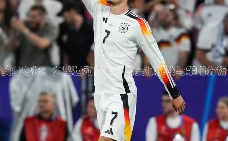 安全守护：大型运动赛事中的安保挑战与策略分析