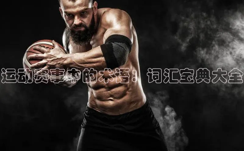 333体育官网app下载