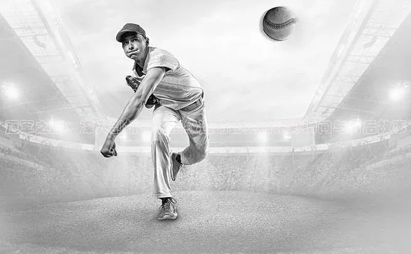 333体育app最新版本更新内容