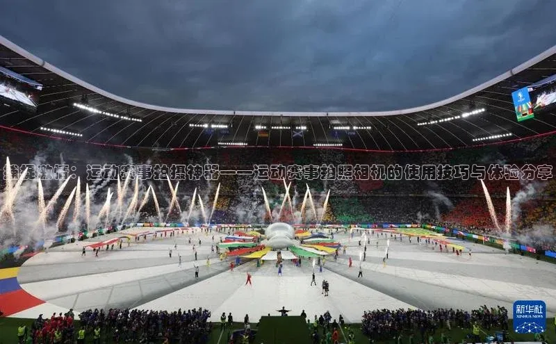 333体育平台网页版