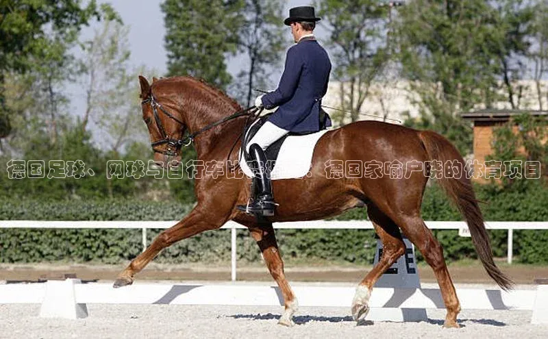 德国足球、网球与自行车比赛概览：德国家喻户晓的体育项目