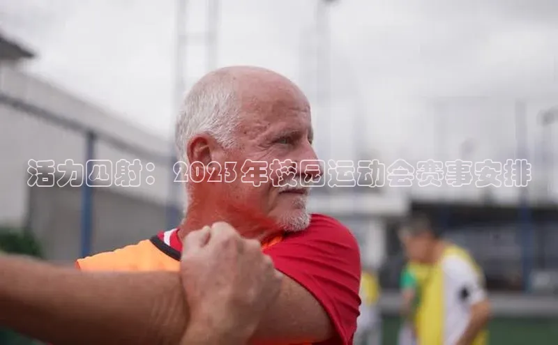 3377体育官方网站